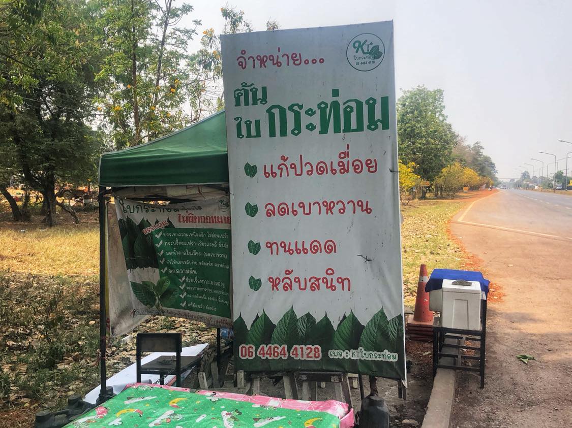 Thai Kratom Effects, Benefits, Use