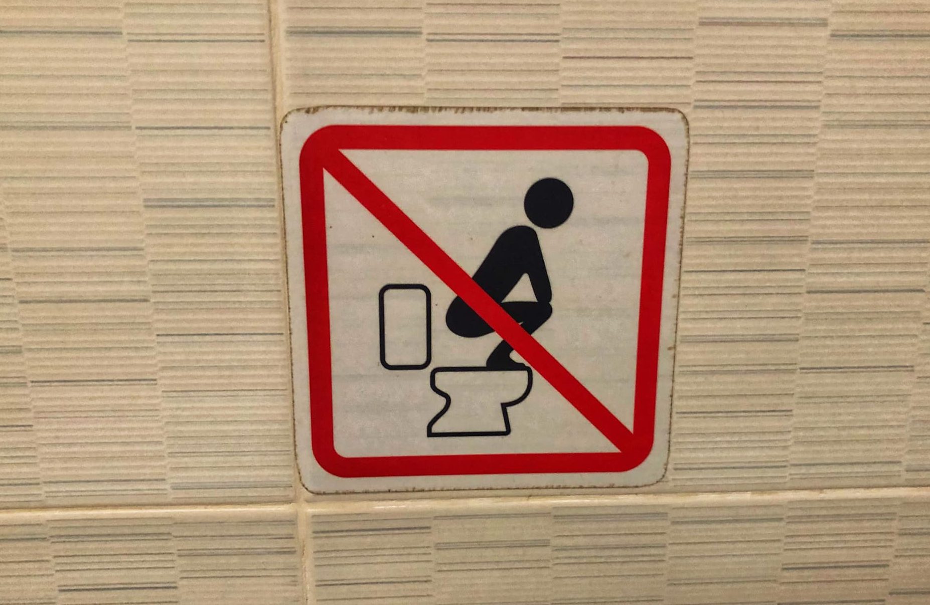 Don't Squat on Toilet Sign