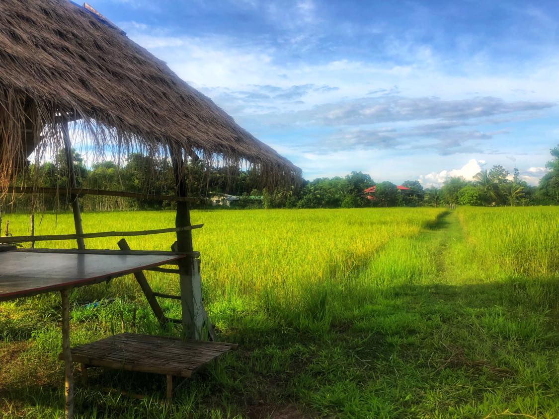 Sakon Nakhon in October