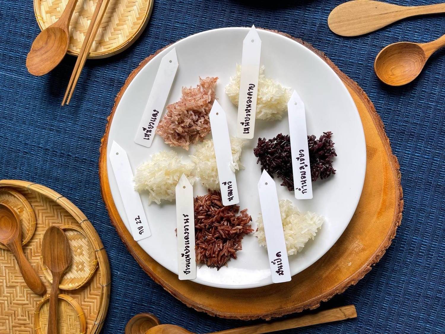 Sakon Nakhon Rice Tasting – The Best Rice in Thailand