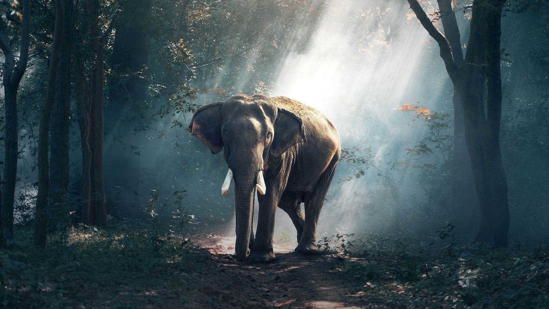 Thai Sayings Proverbs About Life And Love
