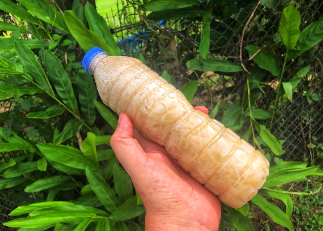 Bottle of Sliced Thai Bamboo