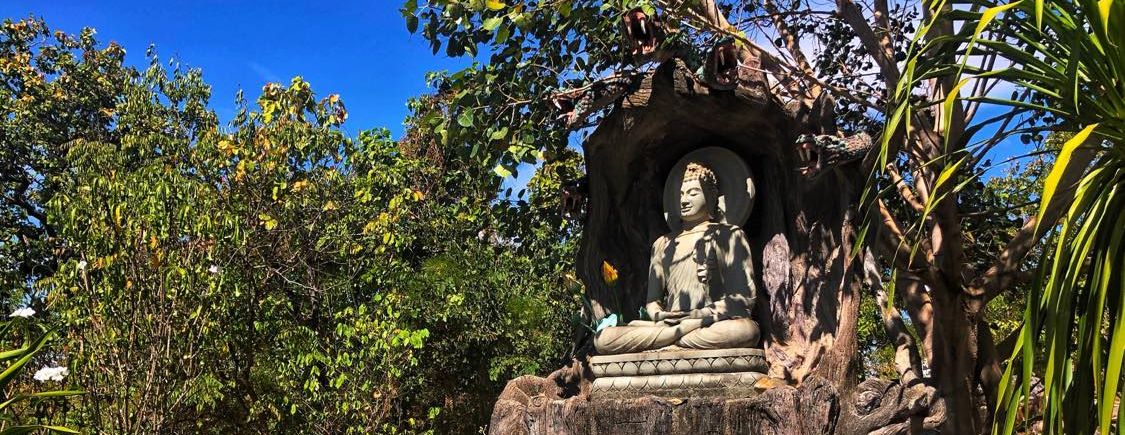 วัดป่าแสงธรรมขันติโก Sakon Nakhon