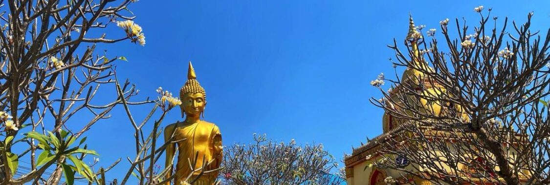 วัดอุฒาจารย์ - Phanna Nikhom