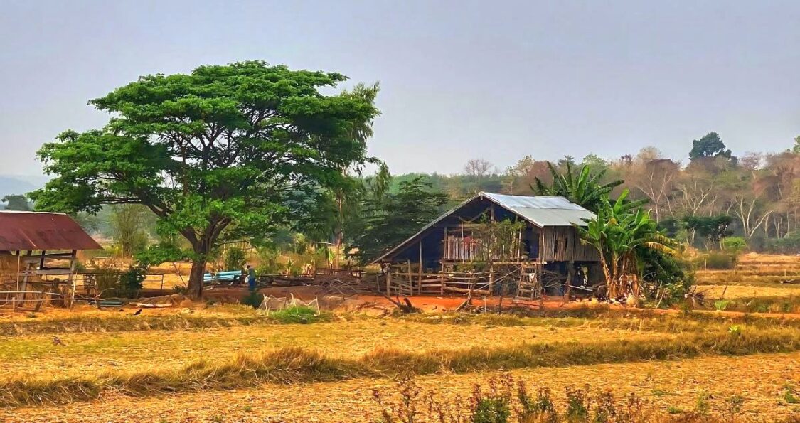 Rural Thai Isaan Home on Rice Farm