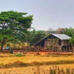 Rural Thai Isaan Home on Rice Farm
