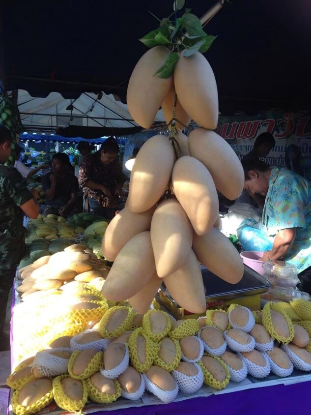 Large Thai Mangoes