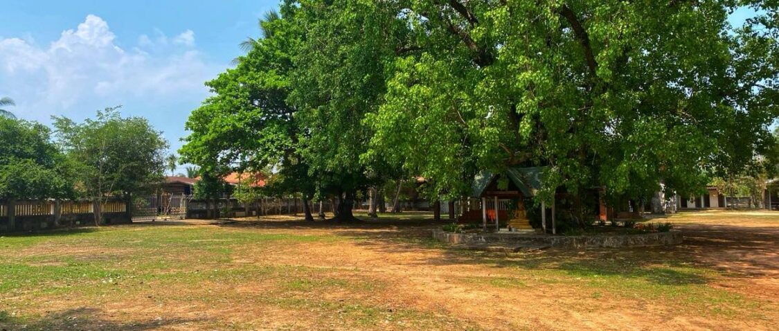 วัดโพนธรรม Thai Village Temple