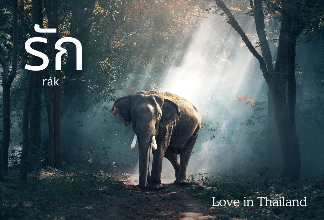 Love in Thailand: rák" (รัก)