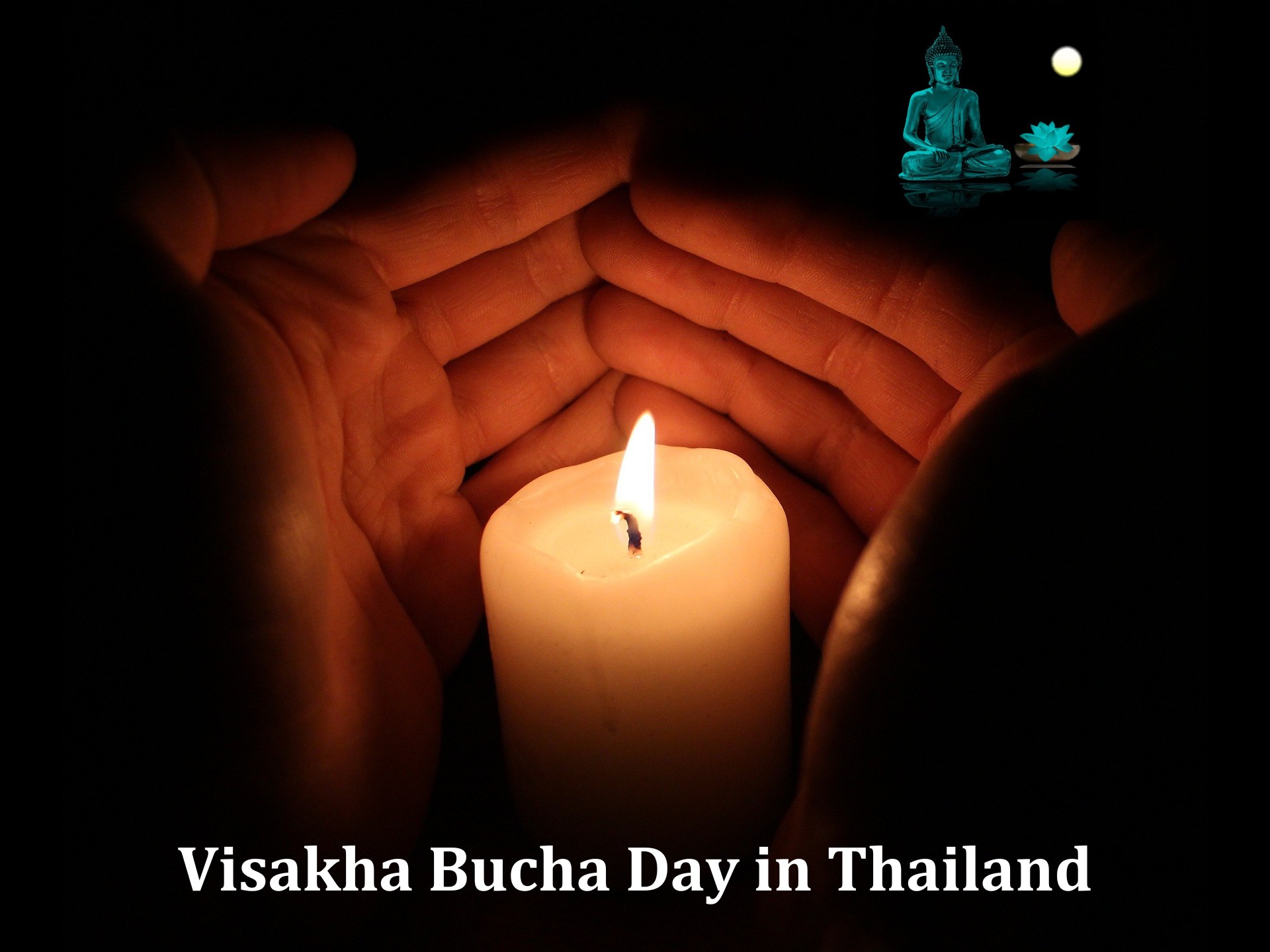 Visakha Bucha Day In Thailand (2024) 