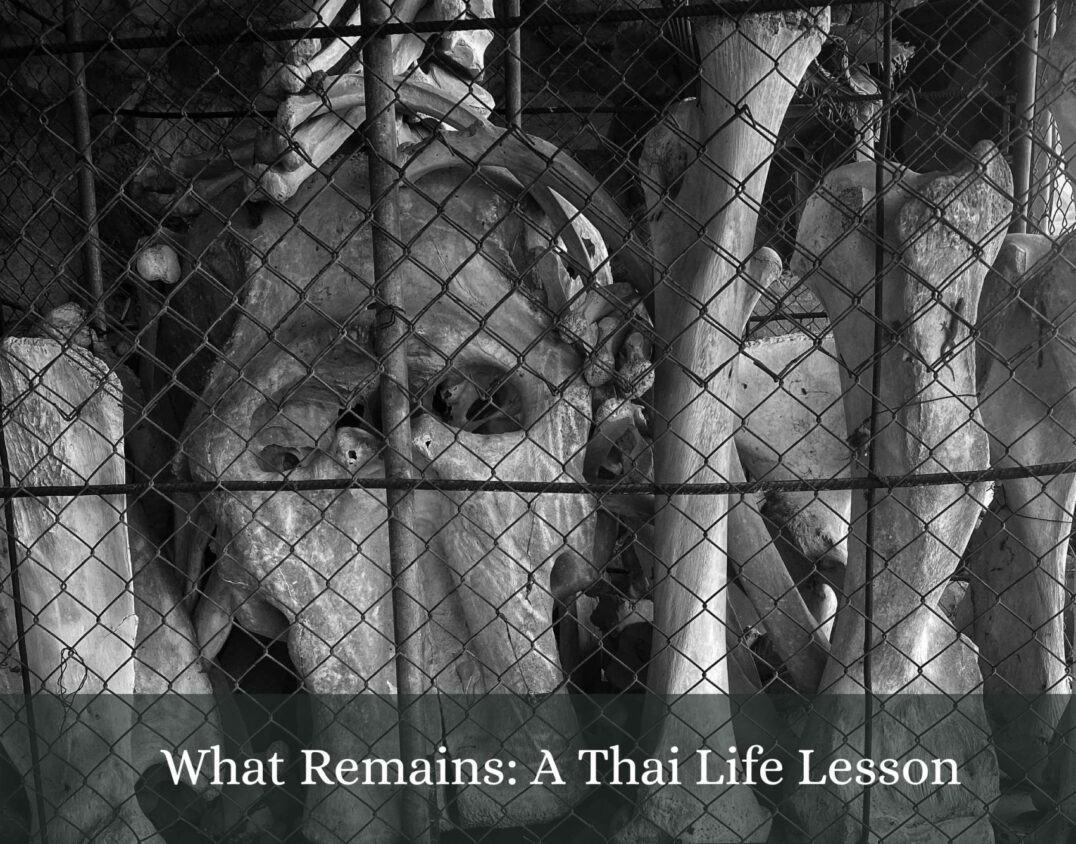 Buddhist Wisdom