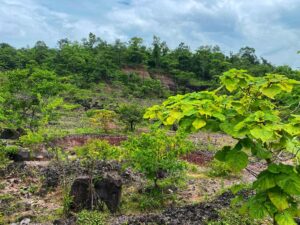 ผาสุขสันติ์ Sakon Nakhon