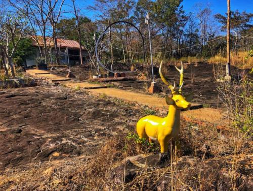 Dan Hin Kham Priest's Camp Site