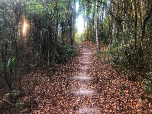 Phu Ruea National Park