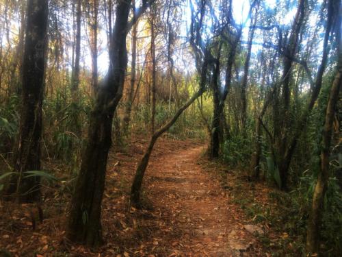 Phu Ruea National Park