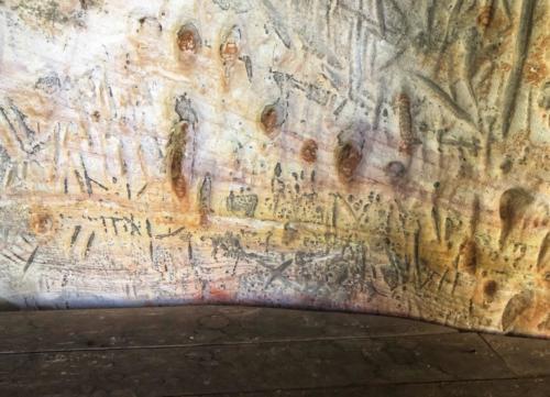 Thailand Petroglyphs ภูผายล - Sakon Nakhon