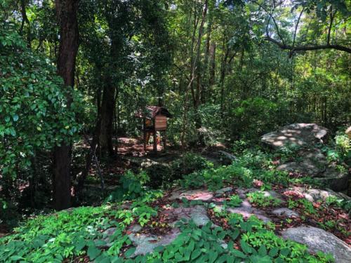 Phu Pha Yon Rock Carvings - Sakon Nakhon