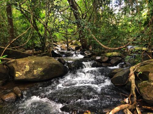 Pricha Suksan Waterfall