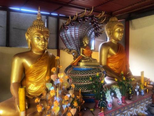 Sakon Nakhon Buddha with Naga