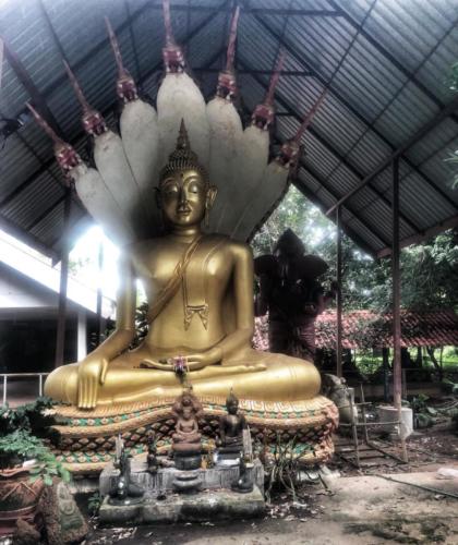 Sakon Nakhon Buddha with Naga