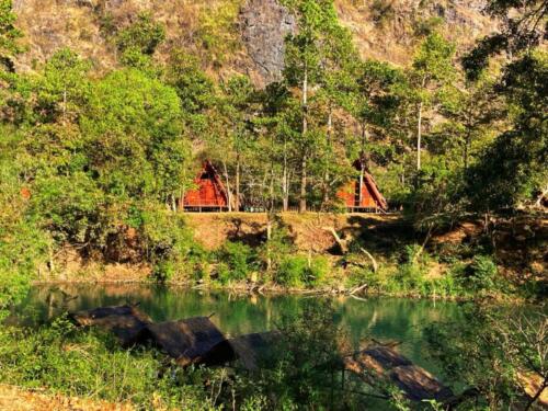 Thakhek Laos Forests