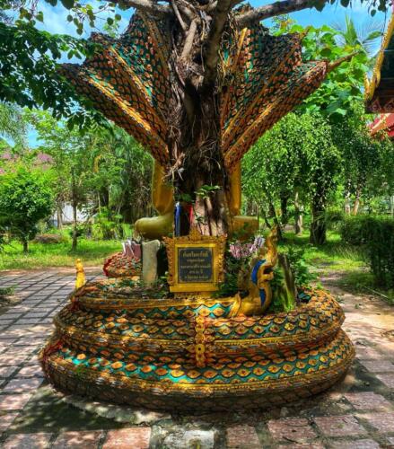 วัดหนองบัวใหญ่