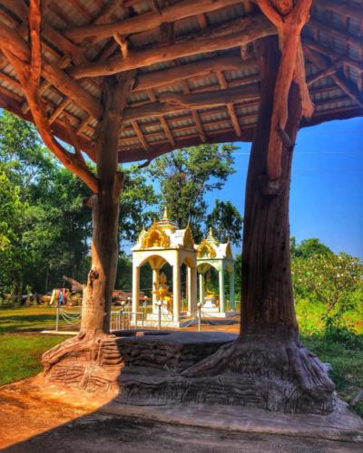 Wat Pa Don Pradu Mongkhon Thip 
