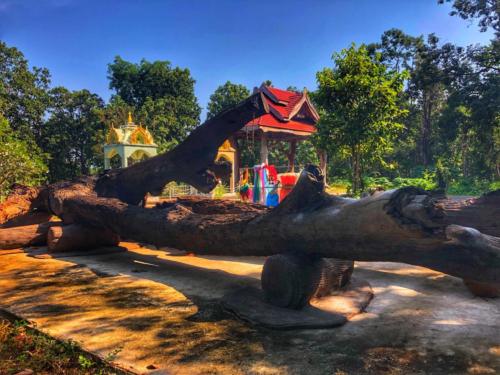 Wat Pa Don Pradu Mongkhon Thip