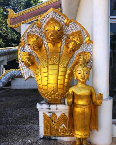 Wat Pa Don Pradu Mongkhon Thip
