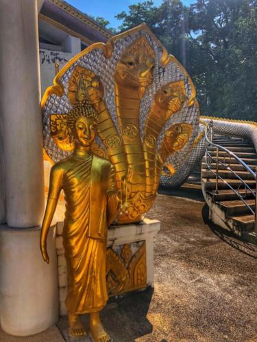 Wat Pa Don Pradu Mongkhon Thip 
