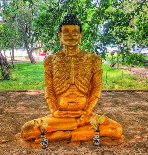 Wat Pa Eo Kan Wipatsonwawat