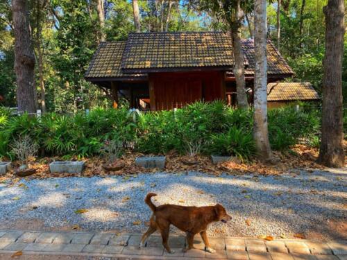Wat Pa Udom Somphon, Sakon Nakhon