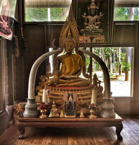 Wat Pa Udom Somphon, Sakon Nakhon
