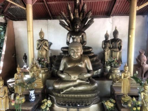 Sakon Nakhon Buddha with Naga