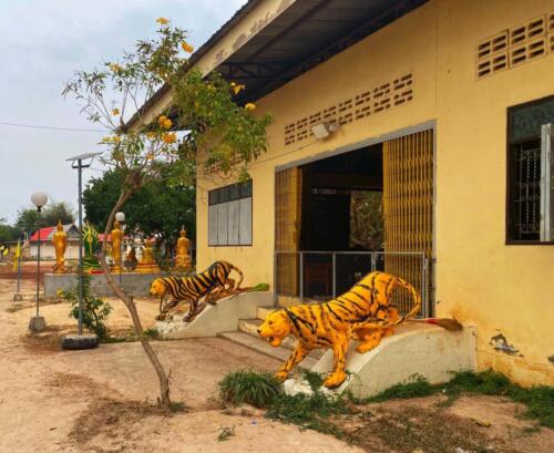 Wat Phra That Dum - วัดพระธาตุดุม