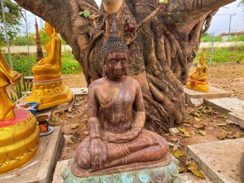 Wat Phra That Dum - วัดพระธาตุดุม