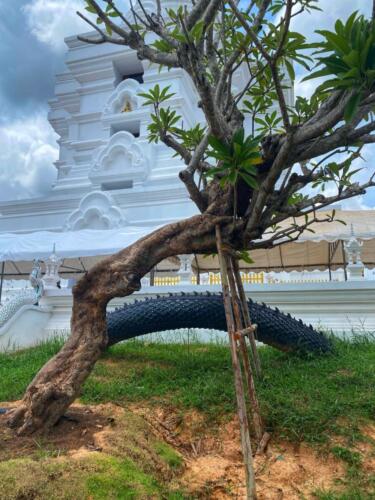 Wat Phra That Muen Hin, Luang Pu Sila Sirichanto