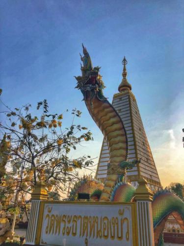 Wat Phra That Nong Bua