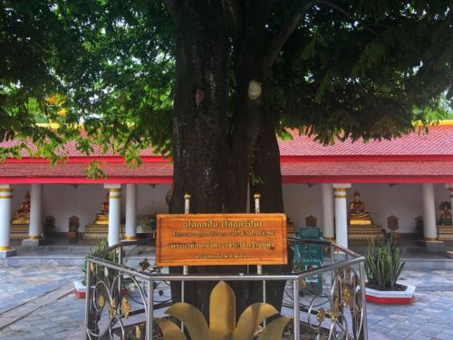 Wat Phra That Phanom 