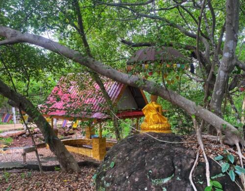 Wat Phu Danhang Buddhist Area 