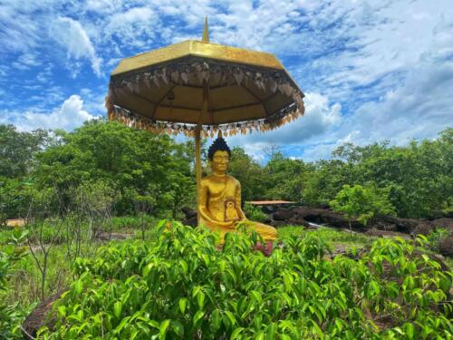 Wat Phu Danhang Buddhist Area 