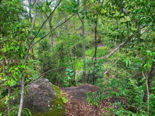 Wat Phu Danhang Buddhist Area 