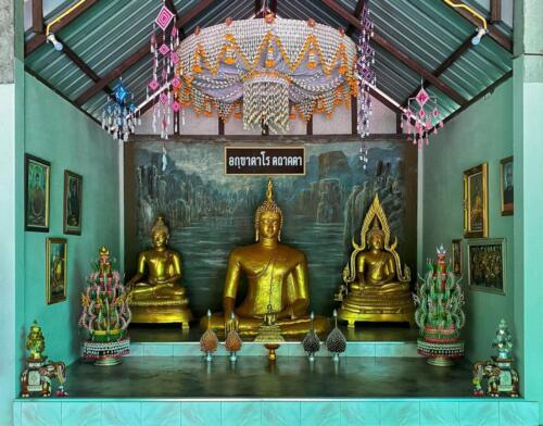Wat Phu Danhang Buddhist Area 