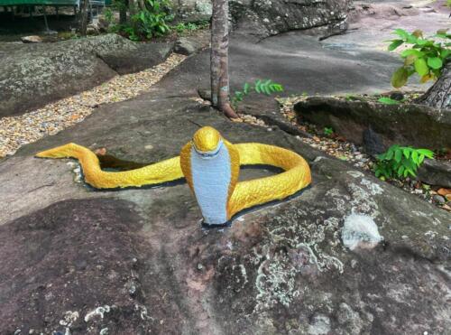 Wat Phu Danhang Buddhist Area