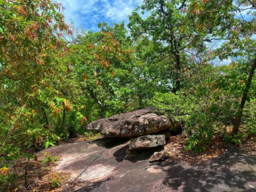 Wat Phu Danhang Buddhist Area 