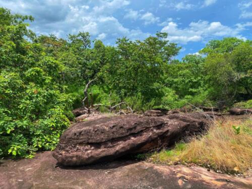 Wat Phu Danhang Buddhist Area