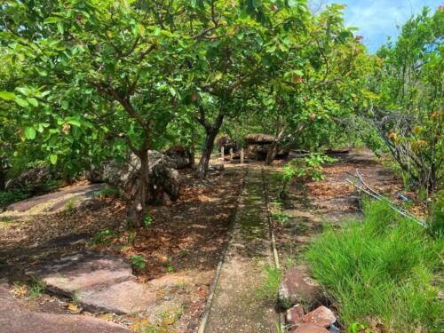 Wat Phu Danhang Buddhist Area