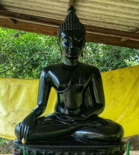 Wat Phu Danhang Buddhist Area 
