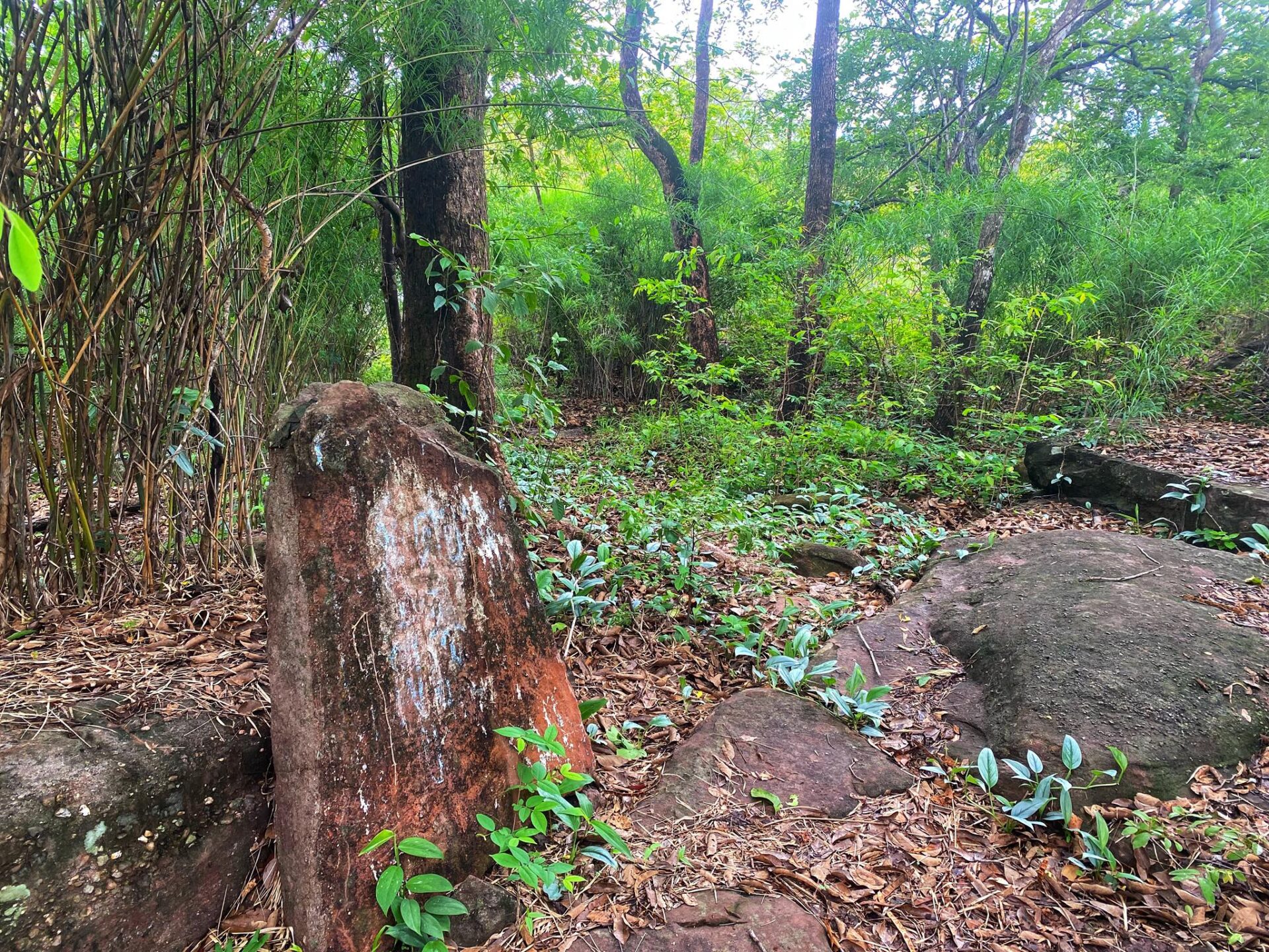 Wat Phu Danhang Buddhist Area