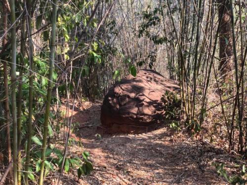 Wat Phu Tok, Wat Chetiya Khiri Wihan, Bueng Kan